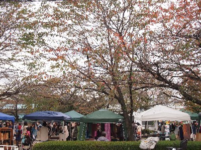 第8回動楽市 公園全体.jpg