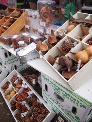 第8回動楽市 小林商会.jpg