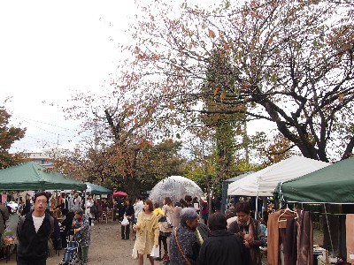 第8回動楽市 公園様子.jpg