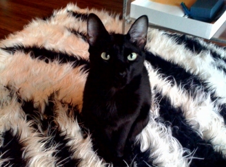 hana
