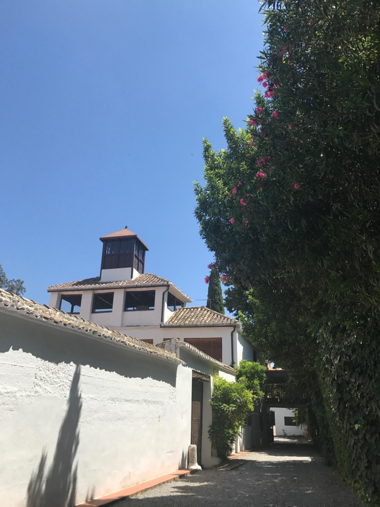 image1.JPG