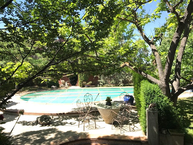 image1.JPG