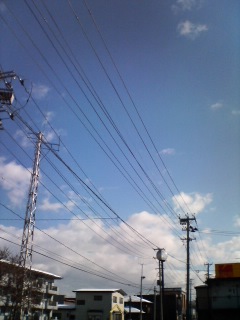20070111_215976.jpg