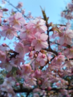 20070311_250540.jpg