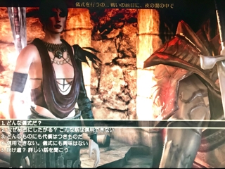 Dragon Age Origins その8 やりこまない