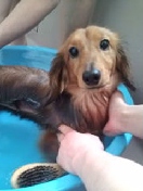 20100313094936_ed_ed.jpg