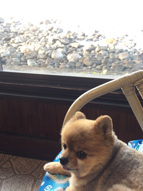 image1.jpeg