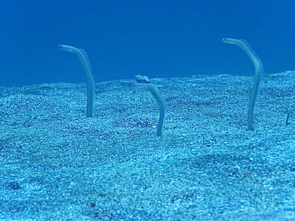 IMG_1270.JPG