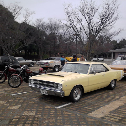 Morning Cruise
