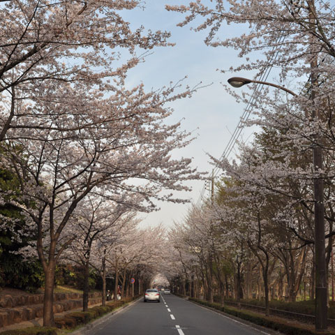 和光市