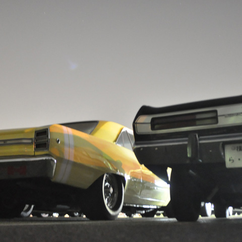 NIGHT Cruise