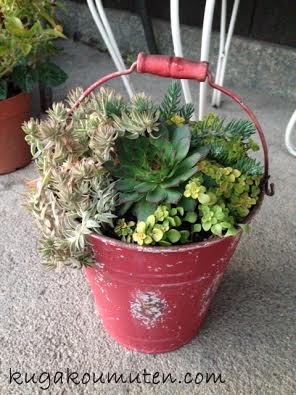 unnamed (2).jpg