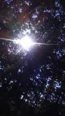 1549151785853.jpg