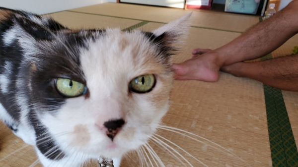 20190910_061915.jpg