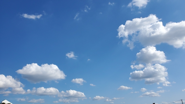 20190925_142328.jpg