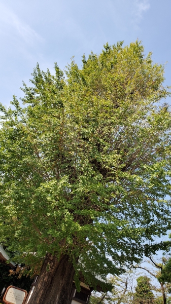 20190927_104041.jpg