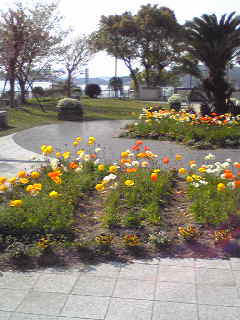 Image010.jpg