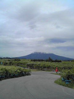 Image133.jpg