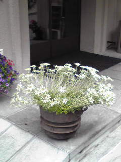 Image212.jpg