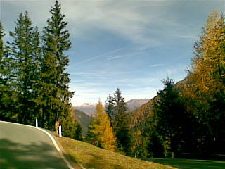 20091028(018).jpg