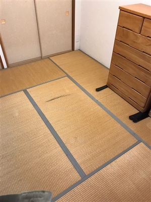 グリーンが良いんです。カラー縁無し琉球畳(セキスイ美草)大阪大東市6帖間施工例家庭用国産畳専門店うえむら畳1