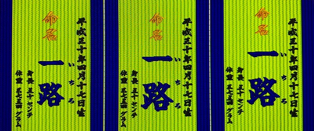 【喜び畳】念願のお子さまの誕生を祝い喜びを刻む。(喜び畳シリーズ:畳タイプMサイズ)大阪府大東市うえむら畳4