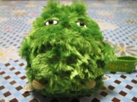 モリゾー