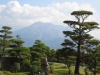 磯庭園から望む桜島