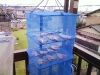 アジの干物でやんす