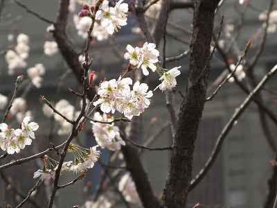 週末上海_2008