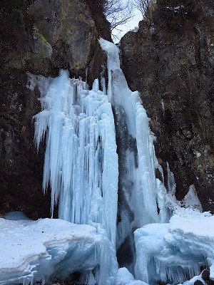 IMG_5721.jpg
