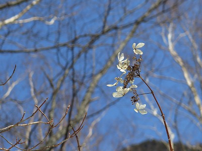 IMG_5746.jpg