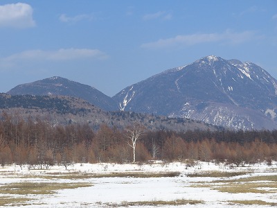 IMG_5755.jpg