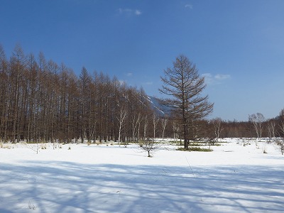 IMG_5762.jpg