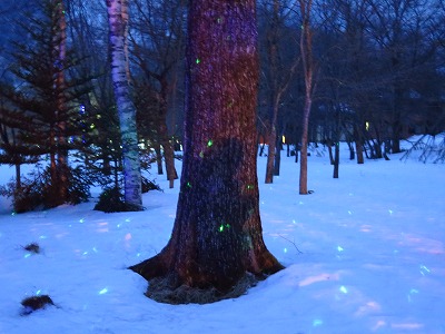 IMG_5777.jpg