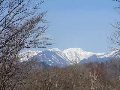 IMG_5843.jpg