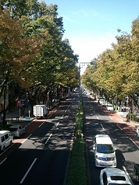 表参道歩道橋