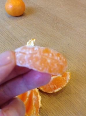 124.JPG