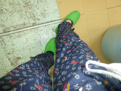 P1030541.JPG