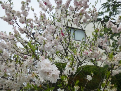 P1030583.JPG