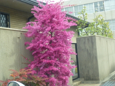 P1030589.JPG