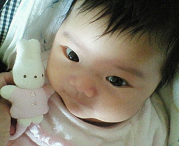 NEC_0477.jpg