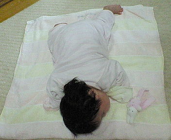 NEC_0510.jpg