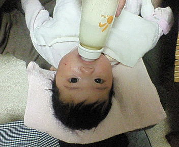 NEC_0522.jpg