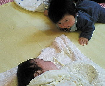 NEC_0256.jpg