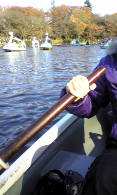 081130_143146.jpg