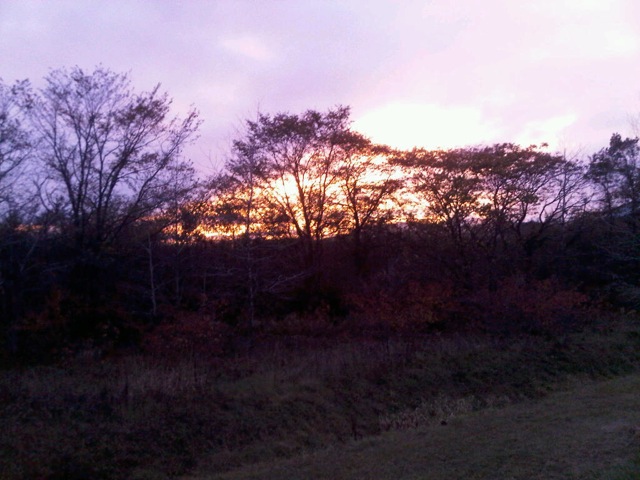IMG00156-20111015-1651.jpg