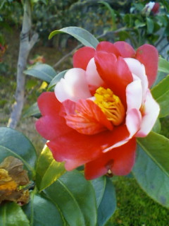 20100103164150.jpg