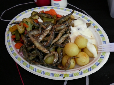 SANY0818.JPG