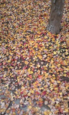 Image027.jpg